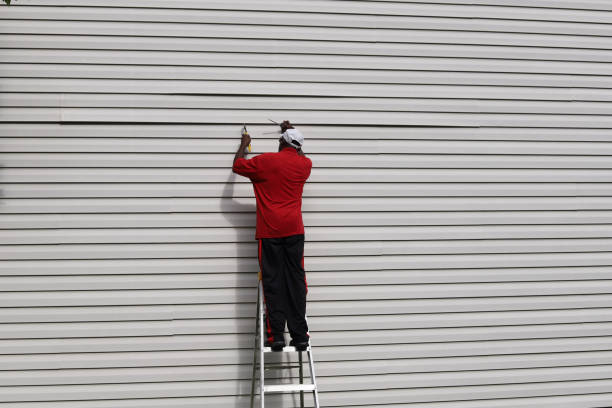 Best Aluminum Siding Installation  in Carlstadt, NJ
